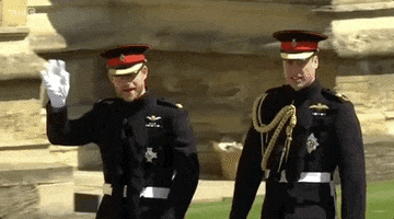 Prince Harry Wave GIF by BBC