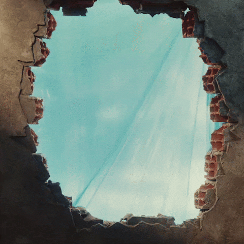 Tudocertotudotigre GIF by Tigre Brasil