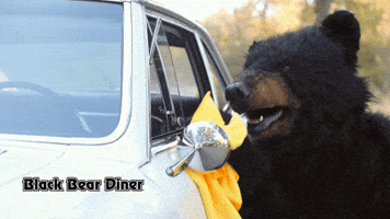 Car Wash Bear GIF by BlackBearDiner