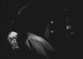 silent film vampire GIF