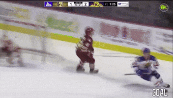 Moncton Wildcats GIF