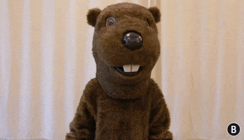 GIF by Welcome to the BVR Dam