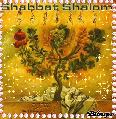 Inspiration Shabbat Shalom Gif Images - Abdofolio