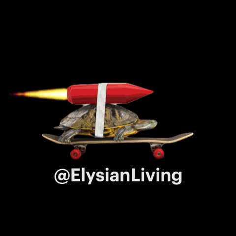 Elysian Living GIF