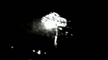 Independence Day Celebration GIF
