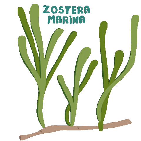 investigacionuca Sticker