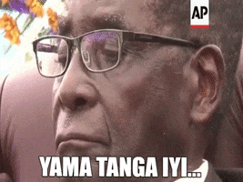 Wow GIF