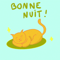 Bonne Nuit Mon Amour Gifs Get The Best Gif On Giphy Bonne Nuit Mon Amour Gifs Get The Best Gif On Giphy