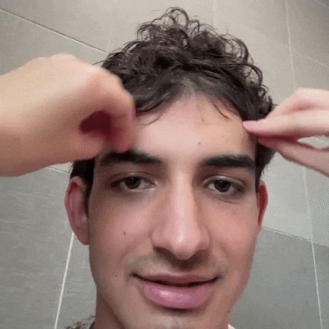Petarcvija GIF