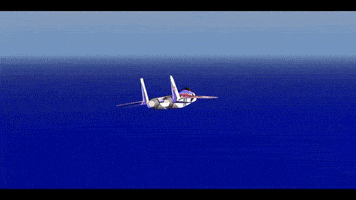 Acecombat GIF