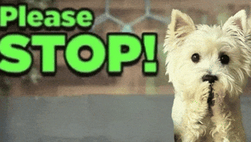 Dog Please GIF