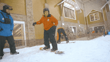 Snow Snowboarding GIF by Paulana
