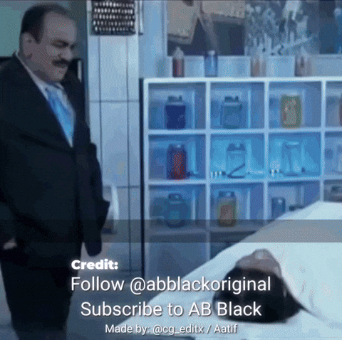 Choducid GIF
