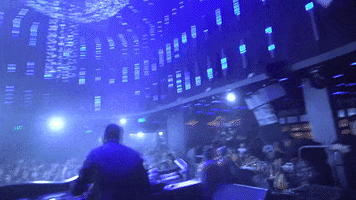 Dance Dubstep GIF by Circus Records