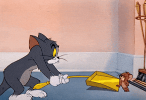 Cat GIF