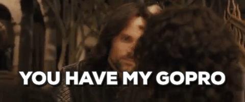 fee  GIF