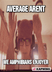 Frogs Amphibians GIF