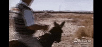 On My Way Goodbye GIF by Texas Archive of the Moving Image