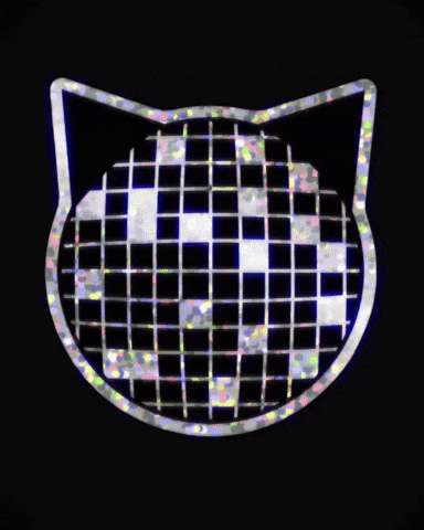 Black Cat Disco Ball GIF