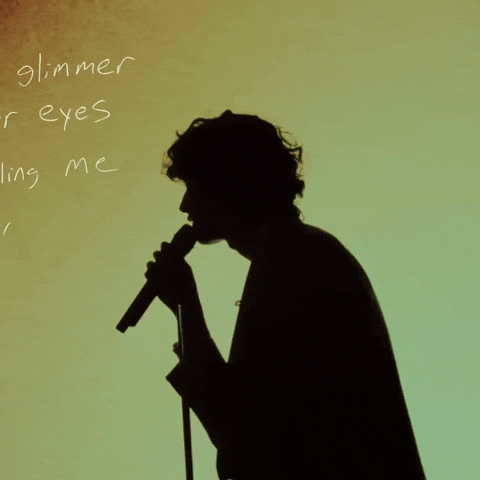 Singer GIF