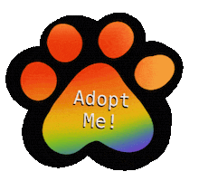 Adopt Cat Rescue Sticker