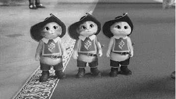 movie cat kitten fall kittens