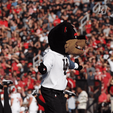 Flexing College Football GIF by Cincinnati Bearcats