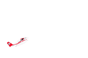 transmaldivian Sticker