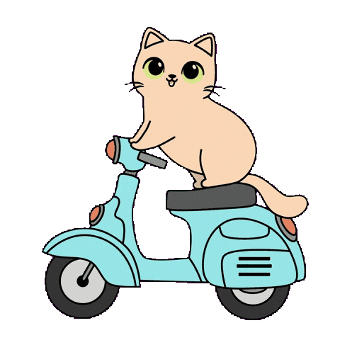 Cat Driving Sticker