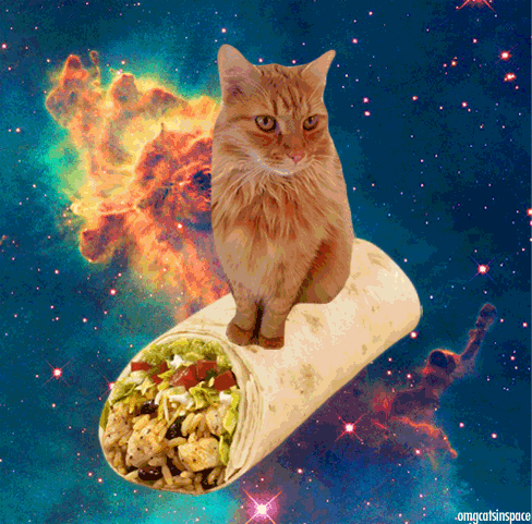 Digital art gif. A tabby cat is sitting on a bobbling burrito that floats in a galaxy.