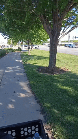 Cycle GIF