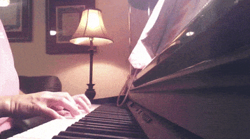 cat piano GIF by America's Funniest Home Videos