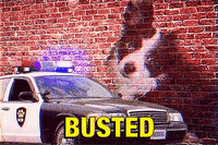 Police-car GIFs - Get the best GIF on GIPHY