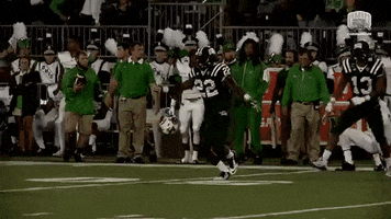 Ohio Bobcats Athens GIF by Ohio Football