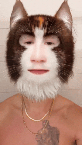 Meow Meowing GIF