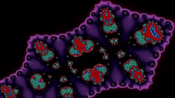 200.gif?cid=fc005b083bc5fe57fd0292012f442653bd4d691b78d065eb&rid=200.gif&ct=g