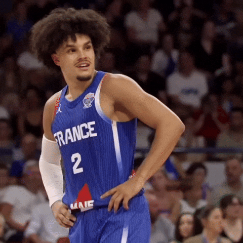 France Hifi GIF