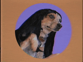 Happy Dog GIF by GIPHY Studios Originals
