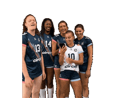 Volleyball Win Sticker by Neptunes_VolleyBall