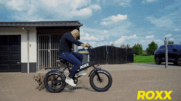 Roxx.bike GIF