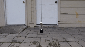 200.gif?cid=fc005b086b27c9df0ec8353de29266b3cddef0b879a6ce71&rid=200.gif&ct=g