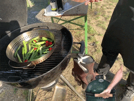 Weingut Stadt Krems GIF