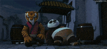 kung fu panda lol GIF