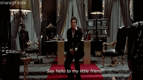 Image result for say hello to my little friend gif