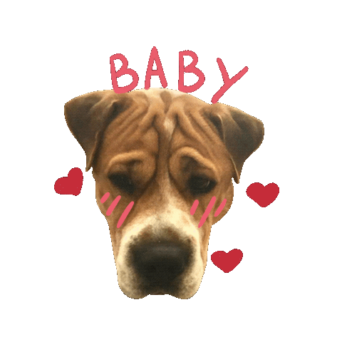 Love Dogs Dog Sticker