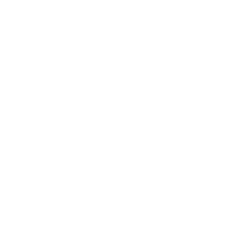 Lions Prep Sticker