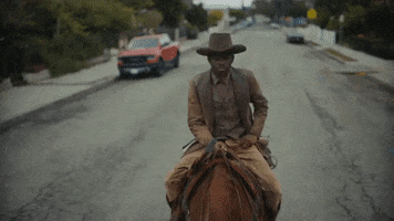 Old Town Road Horses In The Back GIF
