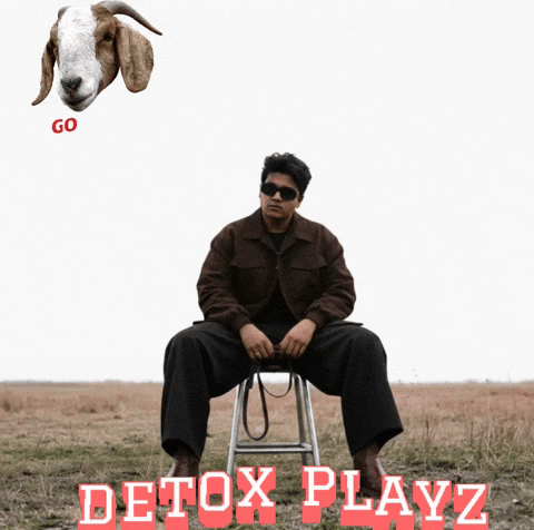 Detox Playz GIF