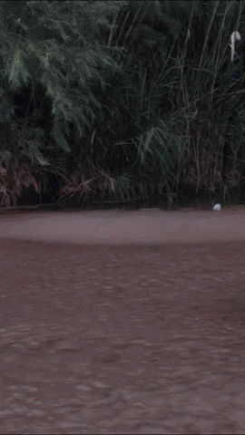 The New Everything Company GIF
