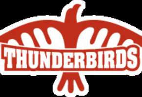 authunderbirds au thunderbirds tbirds aufam GIF
